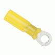 Ancor 12-10 Gauge - 1/4&quot; Heat Shrink Ring Terminal - 25-Pack - 312425