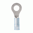 Ancor 16-14 AWG - 1/4&quot; Nylon Ring Terminal - 100-Pack - 220214