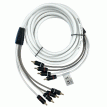 Fusion RCA Cable - 4 Channel - 6&#39; - 010-12892-00