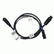 Furuno TZtouch3 Transducer Y-Cable 12-Pin to 2 Each 10-Pin - AIR-040-406-10