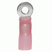 Ancor Heat Shrink Ring Terminal - #8 #10 *3-Pack - 321303