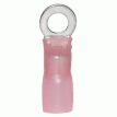 Ancor Heat Shrink Ring Terminal - #8 1/4&quot; *25-Pack - 321425