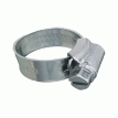 Trident Marine 316 SS Non-Perforated Worm Gear Hose Clamp - 3/8&quot; Band - 7/16&quot;&ndash;21/32&quot; Clamping Range - 10-Pack - SAE Size 4 - 705-0561