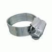 Trident Marine 316 SS Non-Perforated Worm Gear Hose Clamp - 3/8&quot; Band - 5/8&quot;&ndash;15/16&quot; Clamping Range - 10-Pack - SAE Size 8 - 705-0121