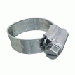 Trident Marine 316 SS Non-Perforated Worm Gear Hose Clamp - 3/8&quot; Band - (5/16&quot; &ndash; 9/16&quot;) Clamping Range - 10-Pack - SAE Size 3 - 705-0141
