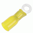 Pacer 12-10 AWG Heat Shrink Ring Terminal - #8 Stud Size - 100 Pack - TE10-8R-100