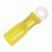 Pacer 12-10 AWG Heat Shrink Ring Terminal - #10 Stud Size - 3 Pack - TE10-10R-3